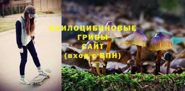 ALPHA PVP Верея